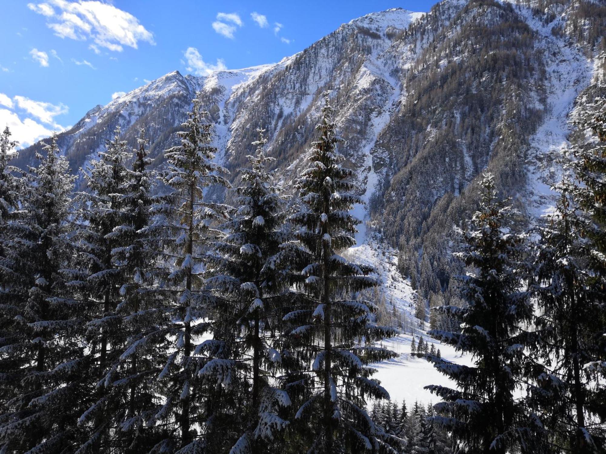 Apartament Berghaus Glockner, Niedermeyer Heiligenblut Zewnętrze zdjęcie